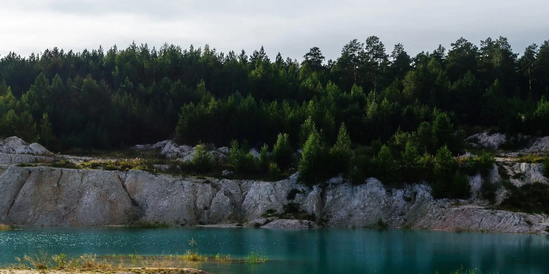 Beautiful Nature With Trees and Water